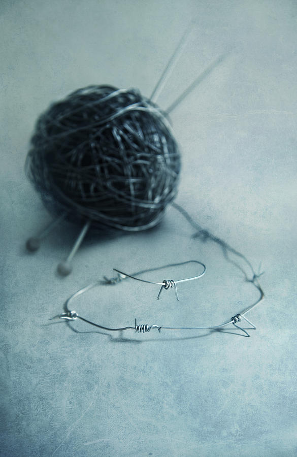 Lets knit a bit Photograph by Jaroslaw Blaminsky