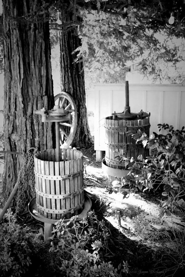Lets Make Wine B And W Photograph by Joyce Dickens