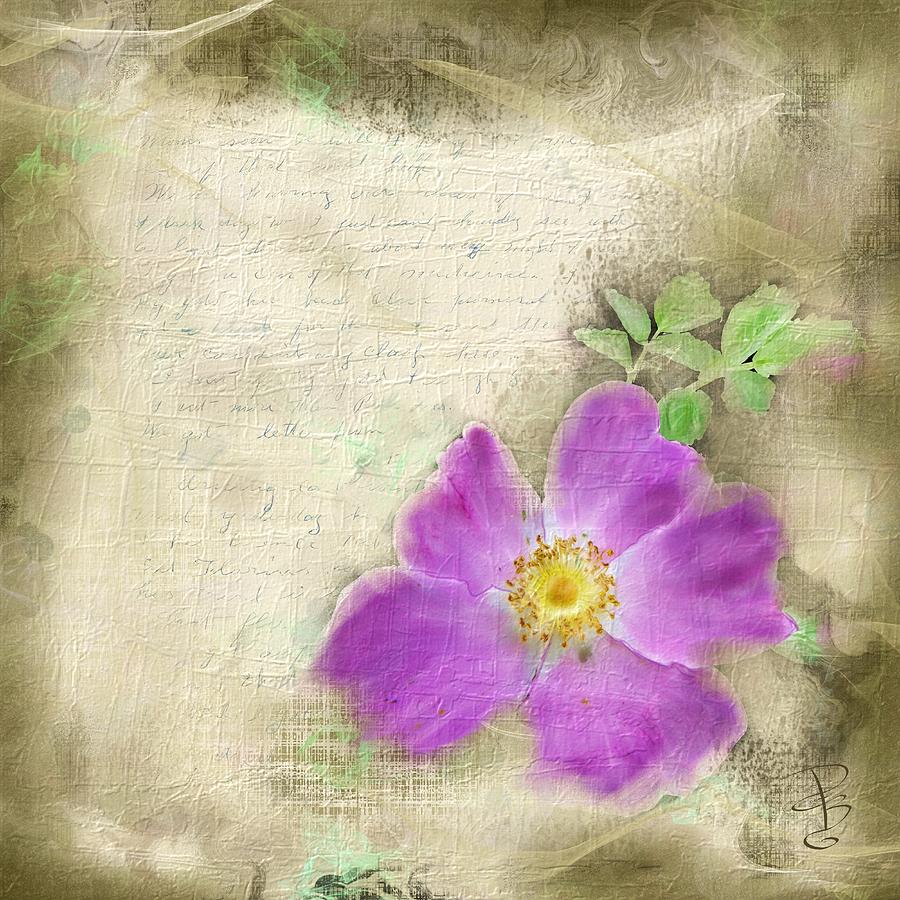 Letter with a wild rose Digital Art by Debra Baldwin