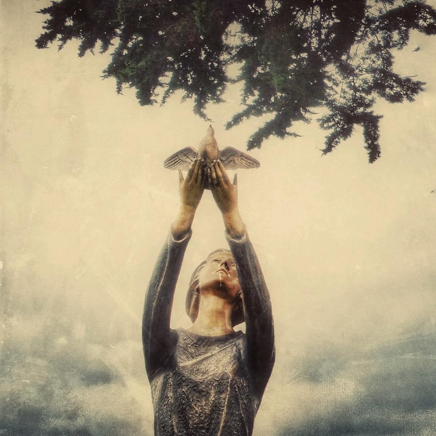 Letting Go Photograph by Gia Marie Houck