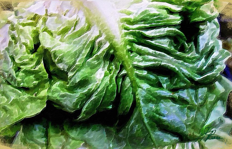 Lettuce Painting by Joan Reese