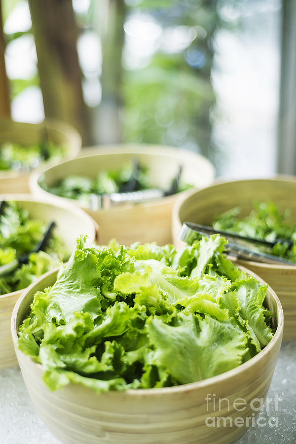 Lettuce Salad Leaves In Bowls In Restaurant Display Photograph by JM Travel Photography
