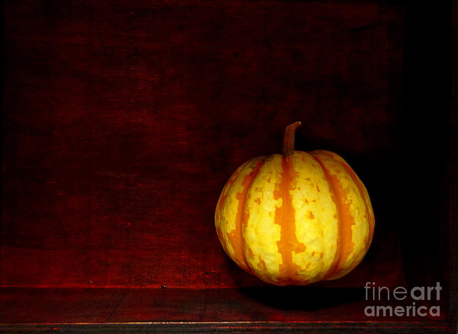 Levitate Pumpkin - Still Life Photograph