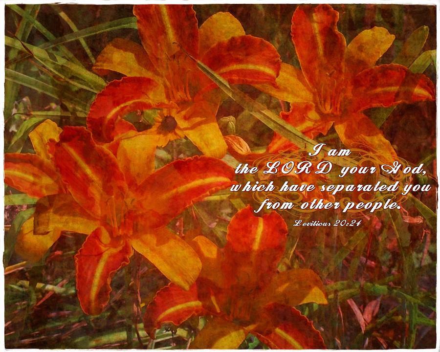 Leviticus 20 24 By Michelle Greene Wheeler leviticus-20-24-by-michelle-greene-wheeler