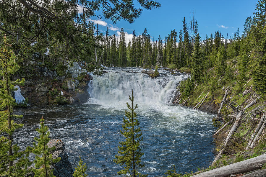 Lewis Falls In Yellowstone National Park Photograph by Yeates Photography