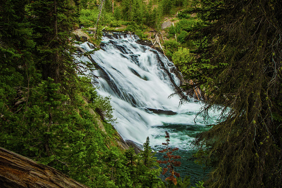 Lewis Falls Photograph by Spencer Bawden - Fine Art America