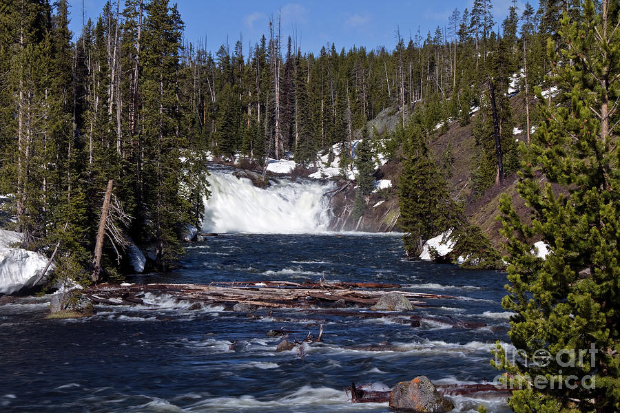 Lewis Falls Yellowstone National Park Photograph by Rodney Cammauf