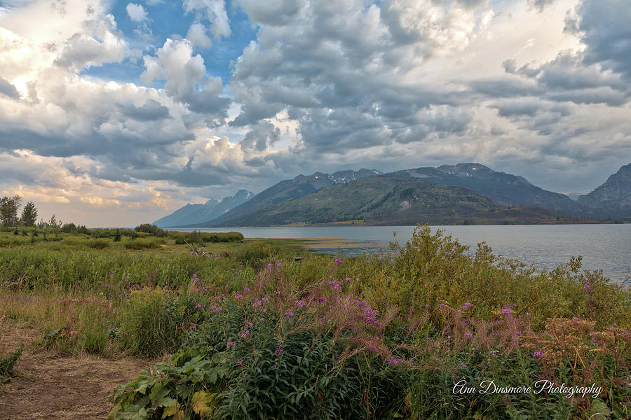 Lewis Lake on a cloudy day Photograph by Ann Dinsmore Fine Art America