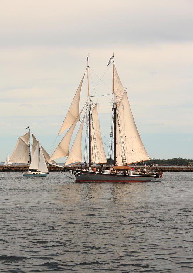 Lewis R French At Rockland Harbor Photograph by Doug Mills
