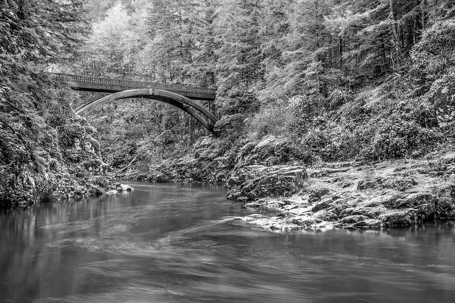 Lewis River Black and White Photograph by Jean Noren