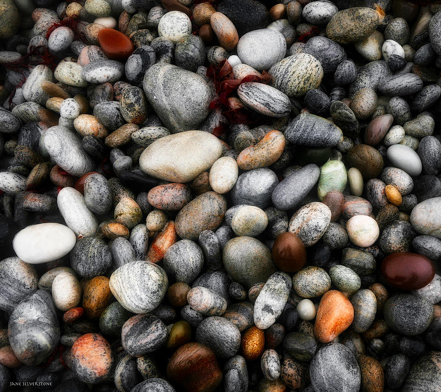 Rocks Photograph - Lewisian cobbles by Jane Selverstone
