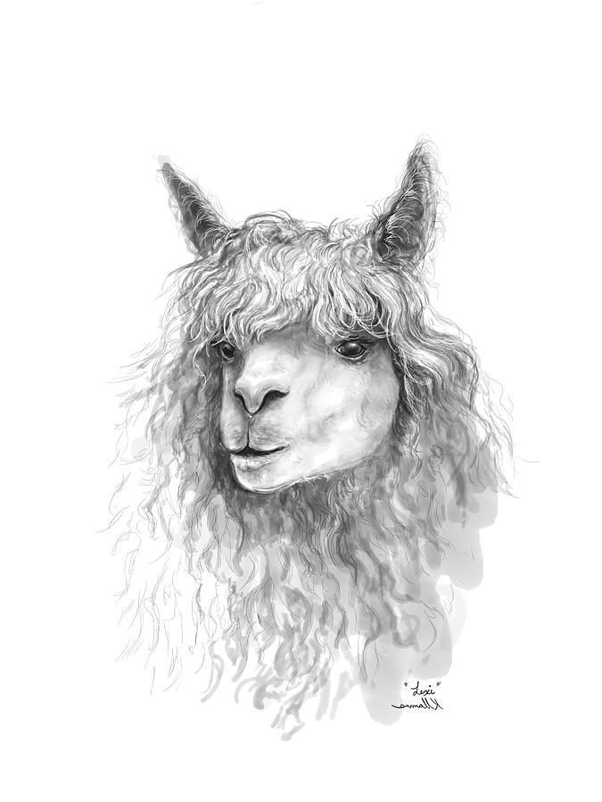 Llama Drawing - Lexi by Kristin Llamas