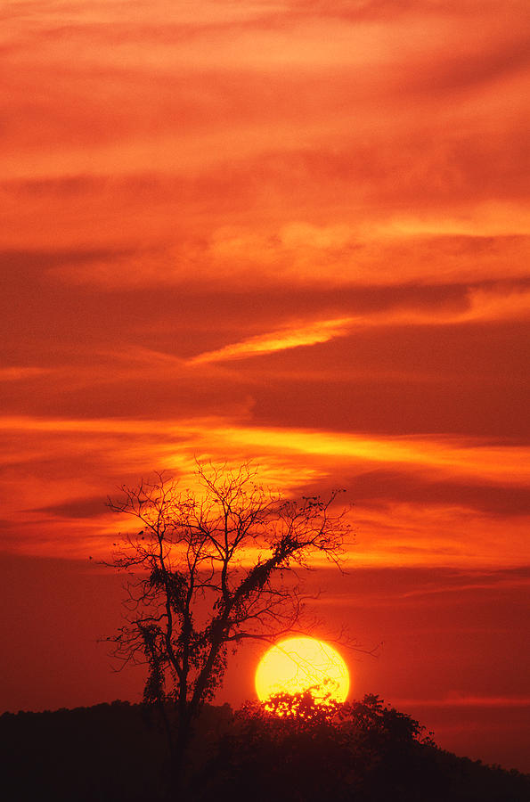 Lexington Sunset Photograph by Bijan Pirnia