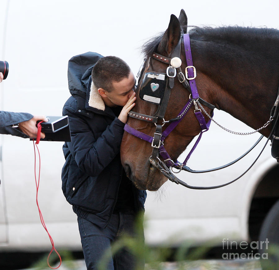 Liam Payne loves Horses Photograph by Brian Flannery | Fine Art America