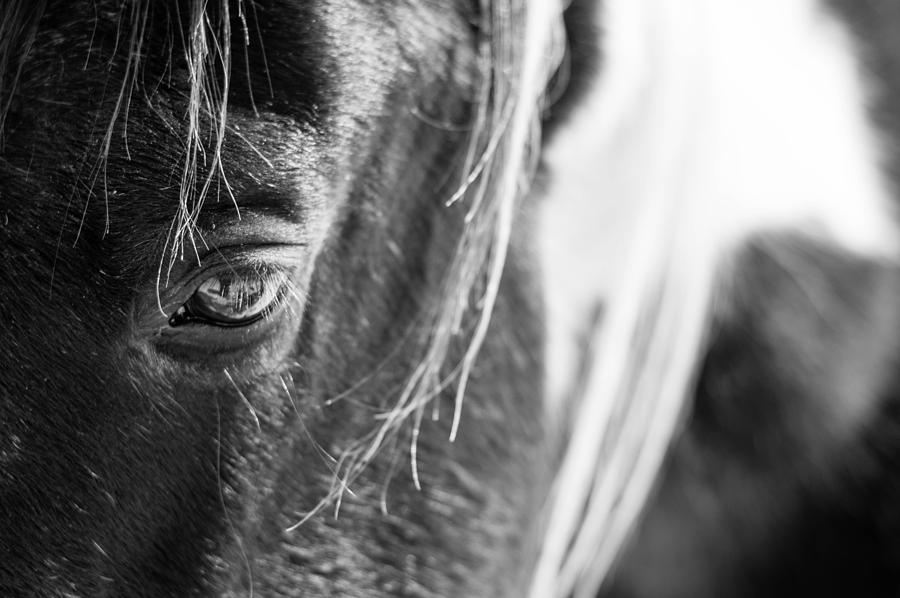 Libby Photograph by Sonya Nicole Smith - Fine Art America