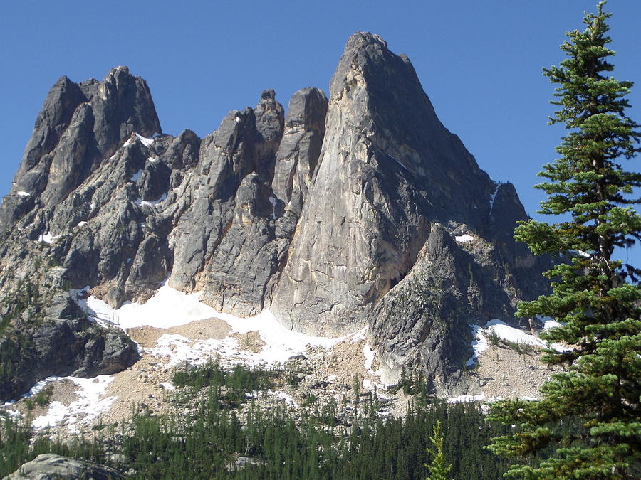 Tree Photograph - Liberty Bell mountain by Tim Clinton