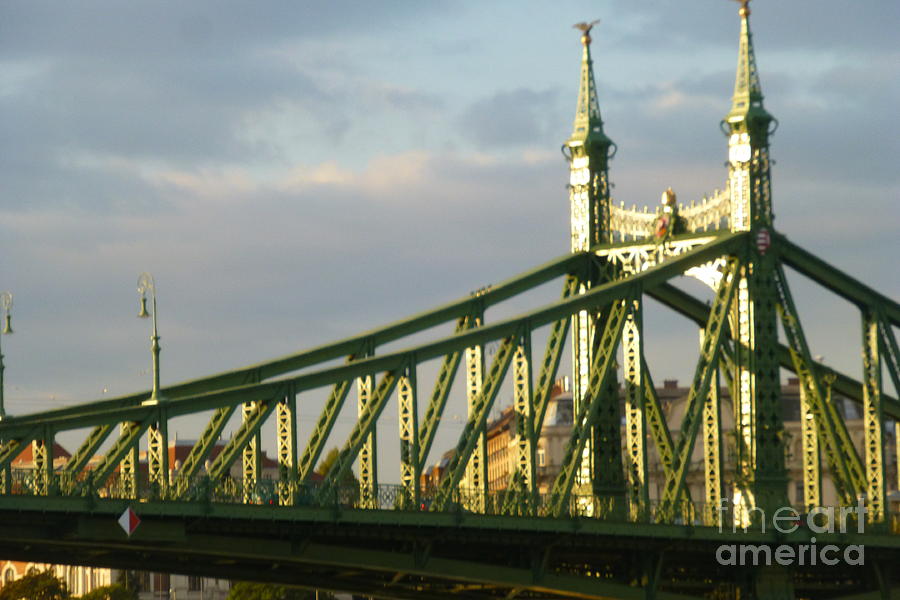 Liberty Bridge of Budapest Photograph by Barbie Corbett-Newmin