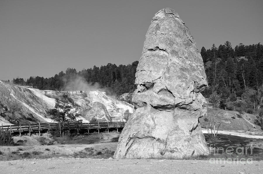Liberty Cap Hot Spring Cone at Mammoth Hot Springs Yellowstone National Park Wyoming Black and White Photograph by Shawn OBrien