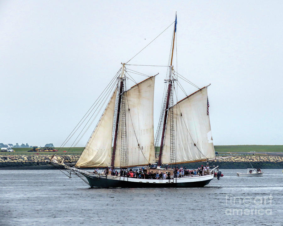 Liberty Clipper  Photograph by Janice Drew