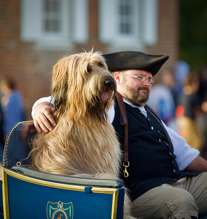 Liberty the Briard takes a Carriage Ride Photograph by Rachel Morrison