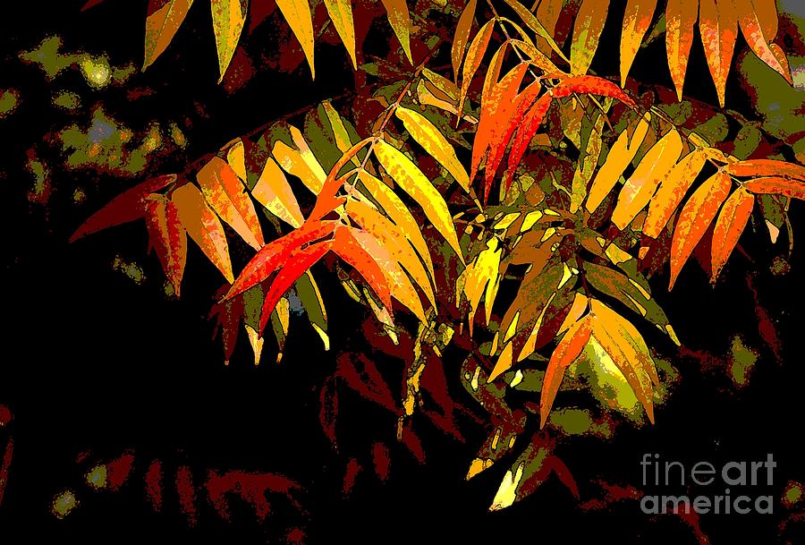 Tree Photograph - Library Leaves by Norman Andrus