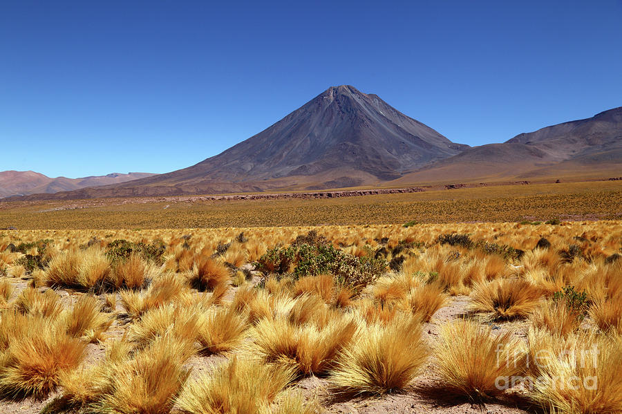 Licancabur Volcano and High Altitude Grassland Chile Photograph by James Brunker