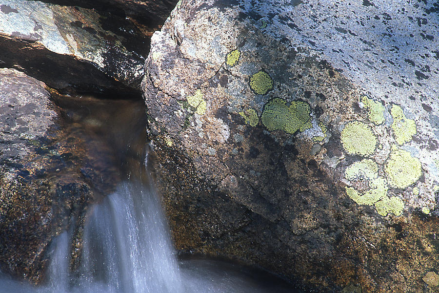 Lichen and Stream Photograph by John Farley