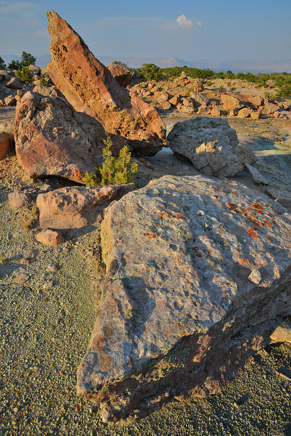 Lichen Covered Boulders in Bentonite Quarry Photograph by Ray Mathis