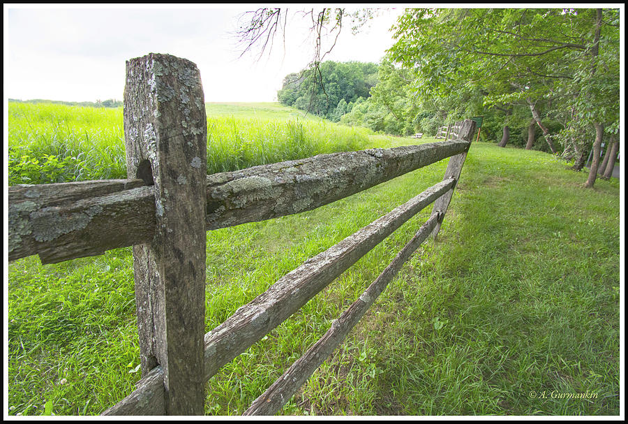 Lichen Covered Slab Fence by a Meadow Photograph by A Macarthur Gurmankin