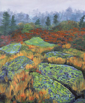 Lichen Rocks Painting by Sandi Snead