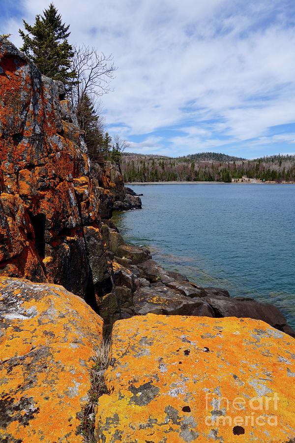 Lichen Rocks Photograph by Sandra Updyke
