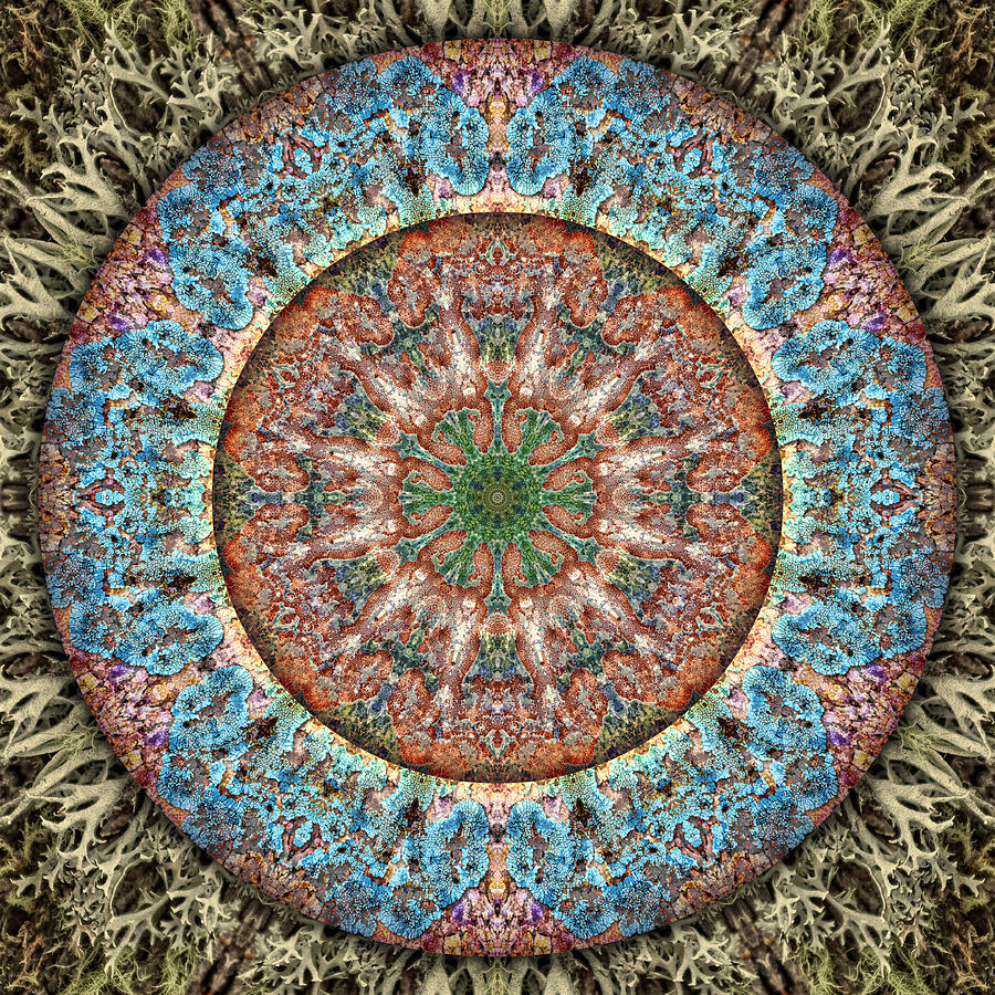 Lichen Stone Digital Art by Becky Titus