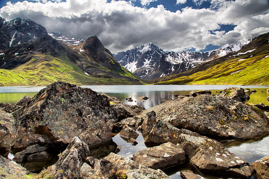 Lichen View Photograph by Ed Boudreau