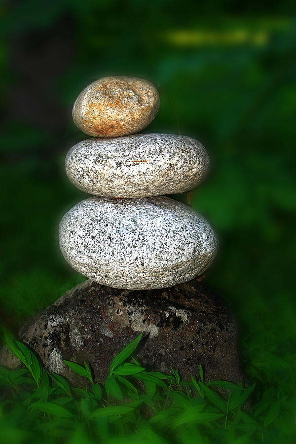 Life Balance Photograph by Gray  Artus