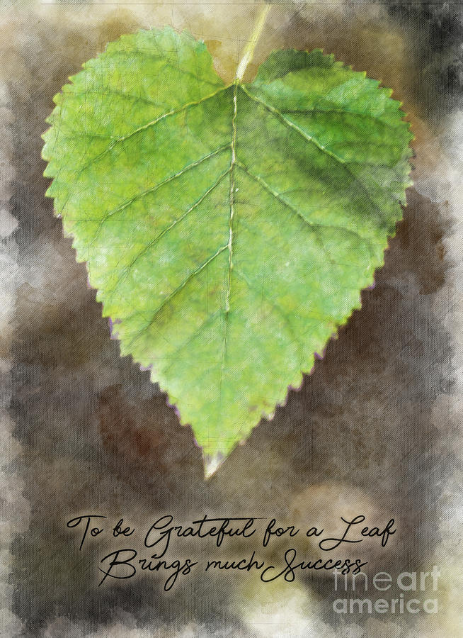 Life Empowering Metaphors- To be grateful for a leaf brings much success Photograph by Metaphor Photo