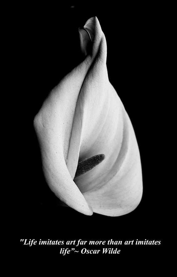 Lily Photograph - Life Imitates Art by Venetia Featherstone-Witty