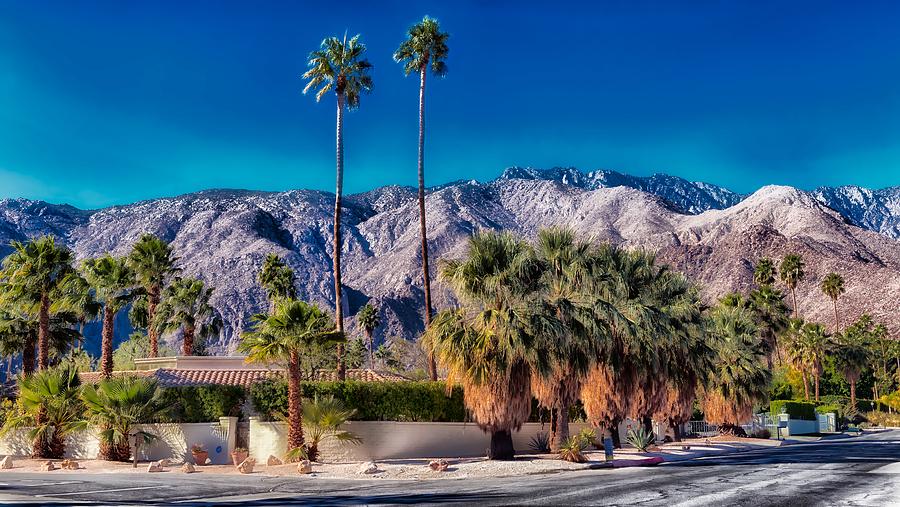 City Photograph - Life in Palm Springs by Mountain Dreams