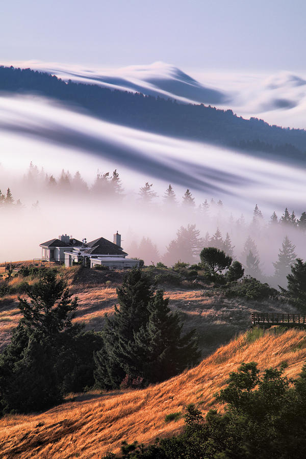Santa Cruz Photograph - Life in the Clouds by Vincent James