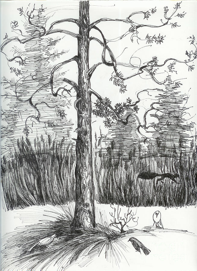 Life in the forest Drawing by Anna  Duyunova