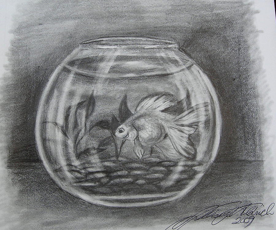 Life in the Looking Glass... Drawing by Allison Aldrich - Fine Art America