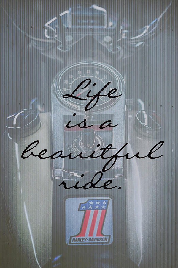Life Is A Beautiful Ride Photograph by Susan Rissi Tregoning