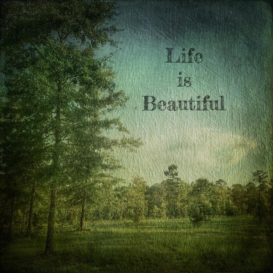 Tree Photograph - Life Is Beautiful #snapseed by Joan McCool