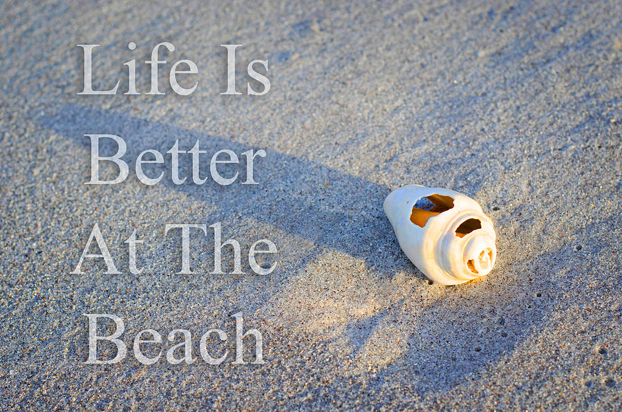 Life Is Better At The Beach - Sharon Cummings Photograph by Sharon Cummings