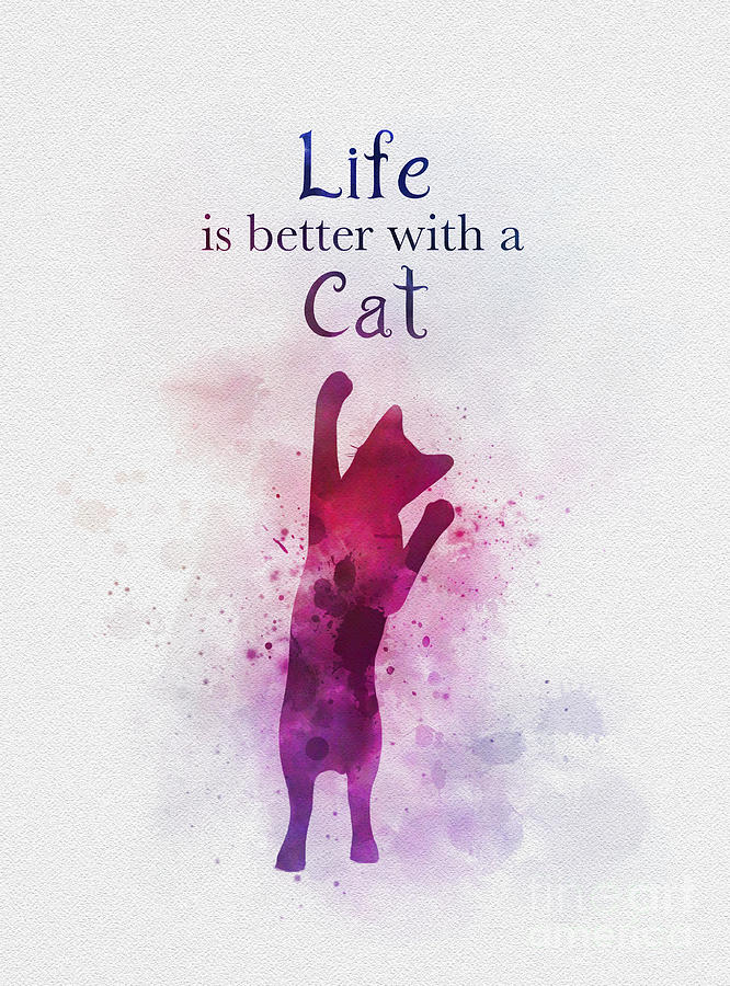 Life is better with a Cat Mixed Media by My Inspiration