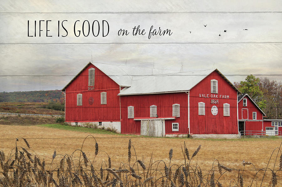 Life is Good on the Farm Photograph by Lori Deiter
