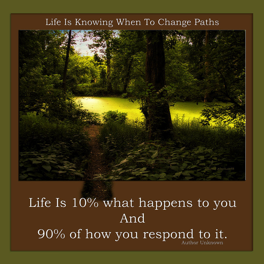 Life Is Knowing When To Change Paths Photograph by Thomas Woolworth ...