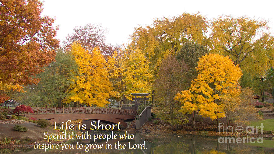 Tree Photograph - Life is Short Quote by Beverly Guilliams