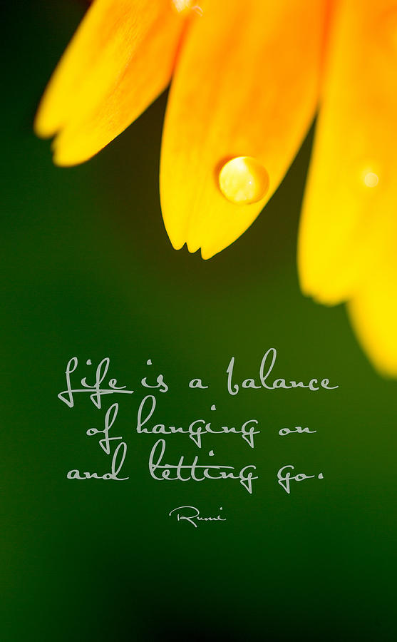 Life is...with quote Photograph by Rebecca Cozart