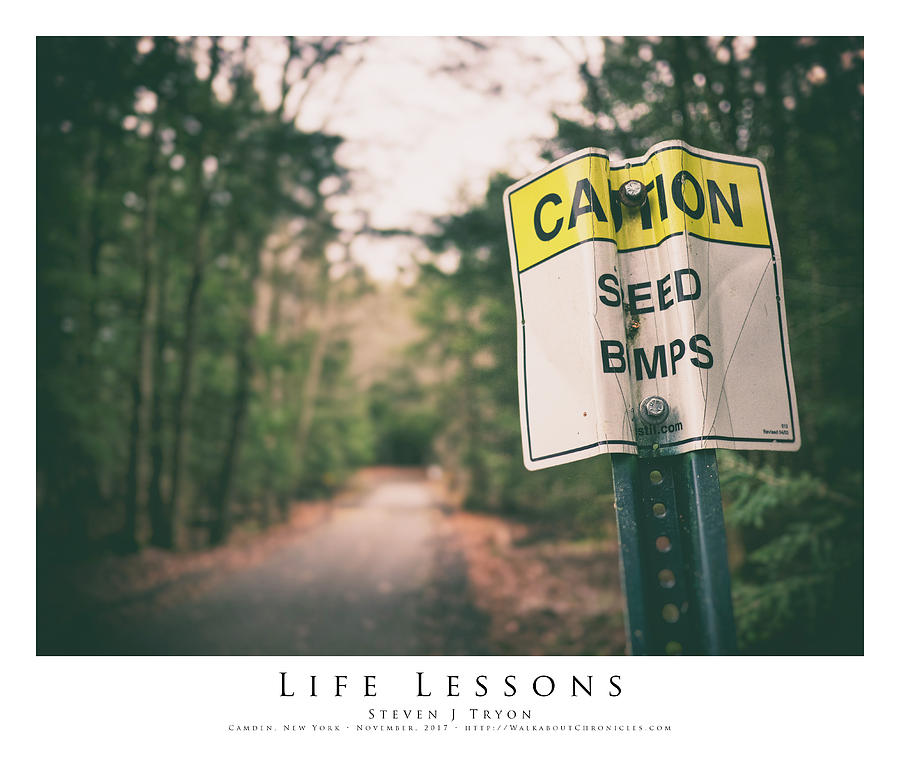 Friends Photograph - Life Lessons by Steven Tryon Friends Photograph - Life Lessons by Steven Tryon