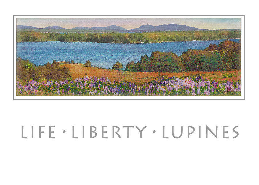 Life Liberty Lupines Painting by ErnestineGrindal SaraClarke